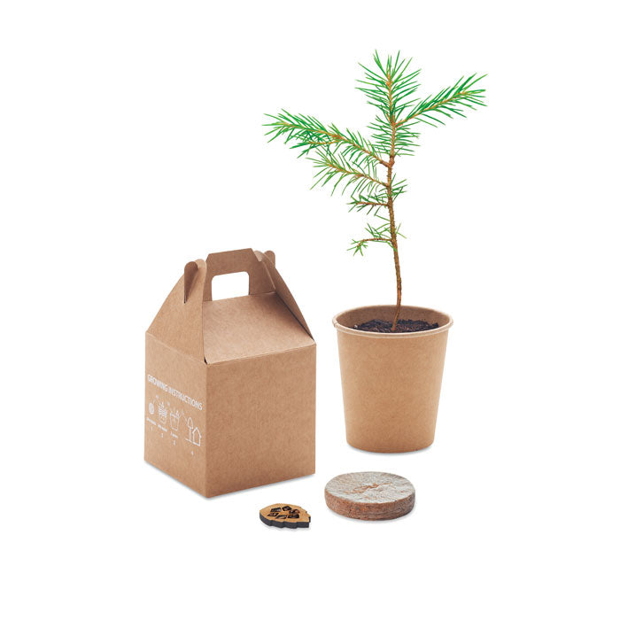 Branded Pine tree set