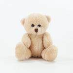 Hi Vis Bear II