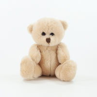 Hi Vis Bear II