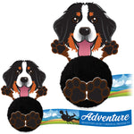 Dog Promo Pals Pals Bernese Mountain Dog