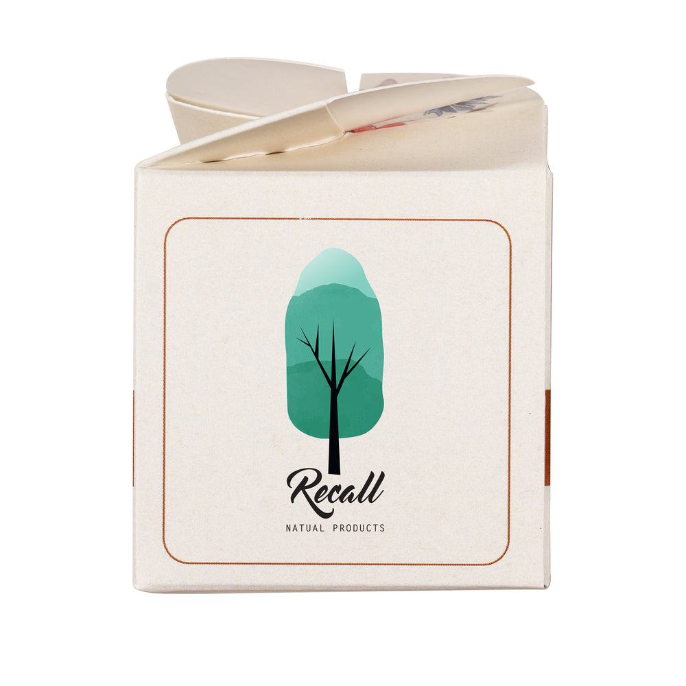 Mini Box Kit Butterfly & Bee Mix