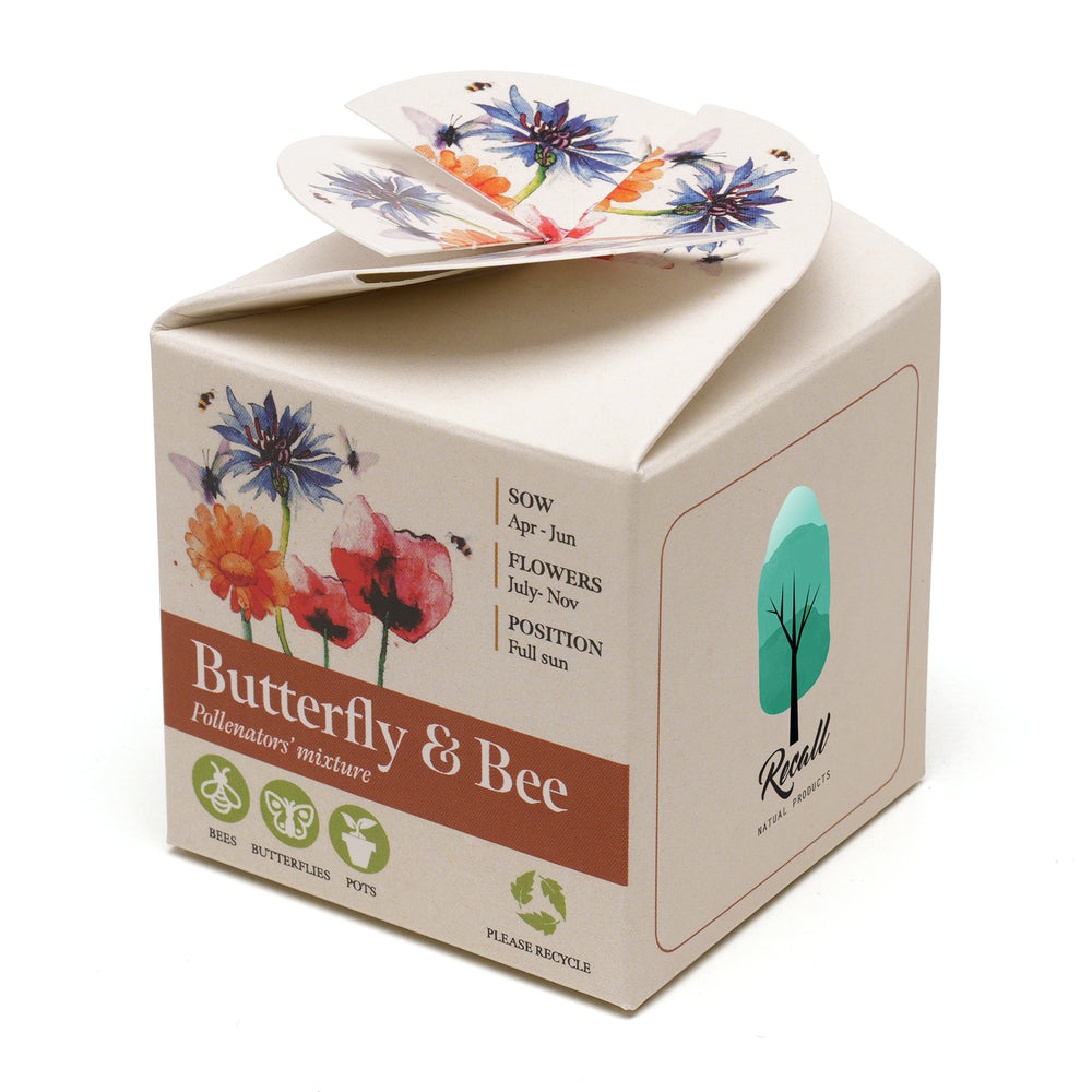 Mini Box Kit Butterfly & Bee Mix