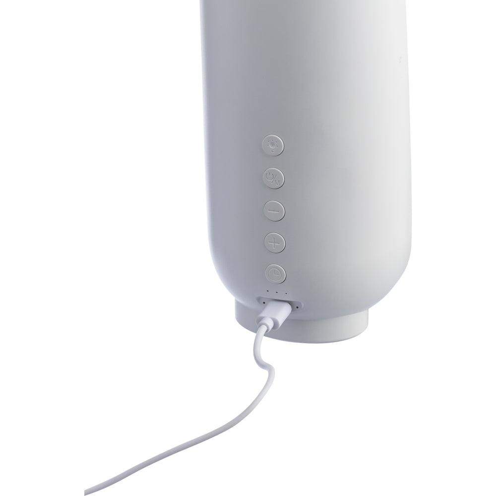 The Rumi - Recycled speaker