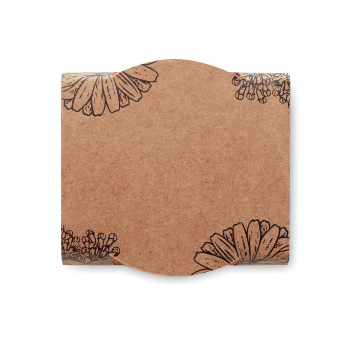 Terracotta Pot with Seeds