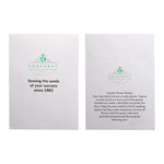 Seed Pack in White Paper Envelope Summer Flowers