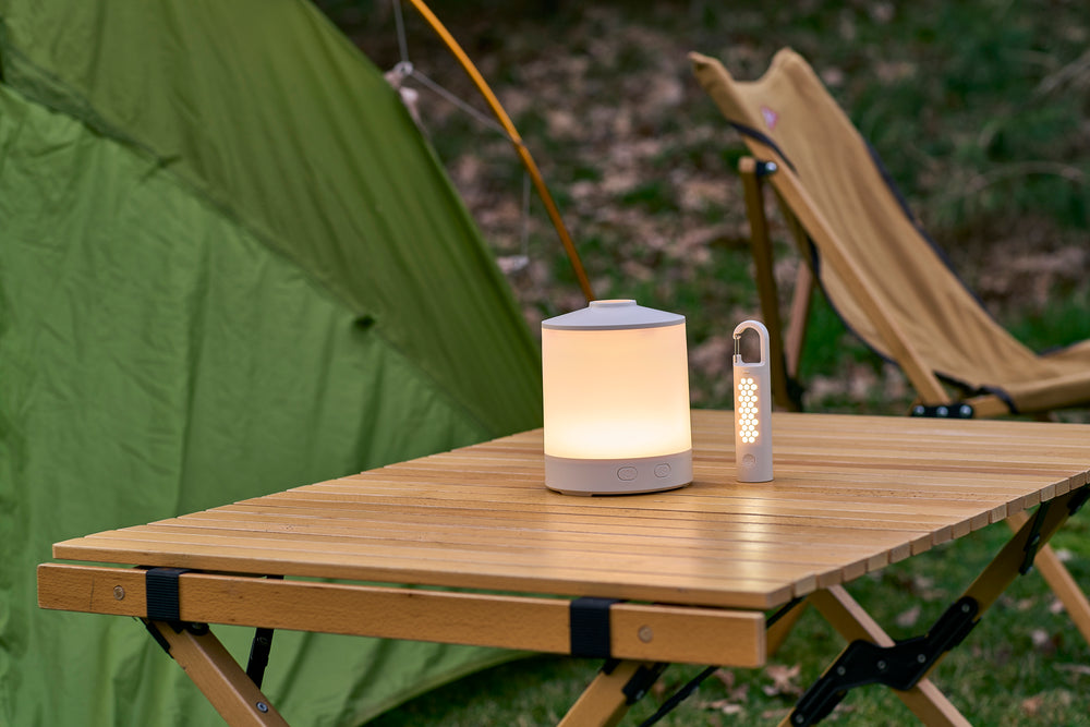The Araminta - Multi-functional light