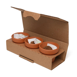 3-in-1 Garden Trio Welbeing Mix