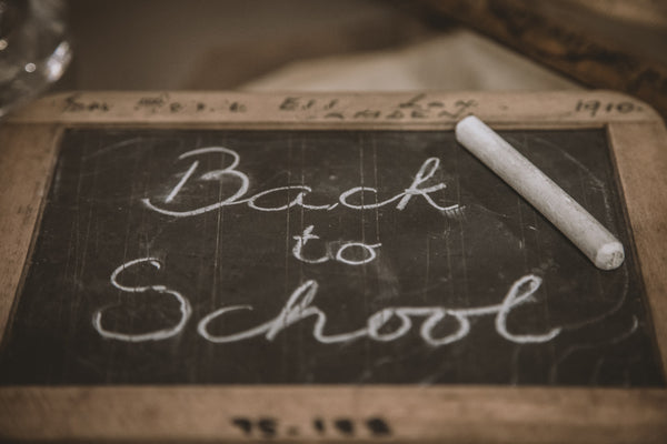 Back to School: Top Picks for the New Academic Year!