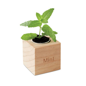 Herb pot wood