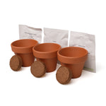 3-in-1 Garden Trio Herb
