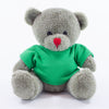 Coloured T-Shirt Bear II