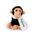 Ravensden Chimpanzee with Scarf