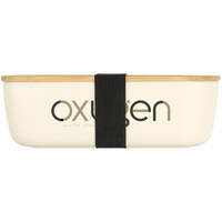 Midori Bamboo Lunchbox