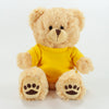Coloured T-Shirt Bear III