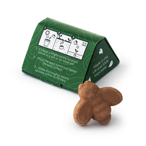 Mini Box of Bee Shaped Seed Bomb