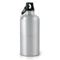 Pollock Aluminium Drinks Bottle