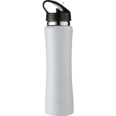 Stagborough Stainless steel double walled flask (500ml)