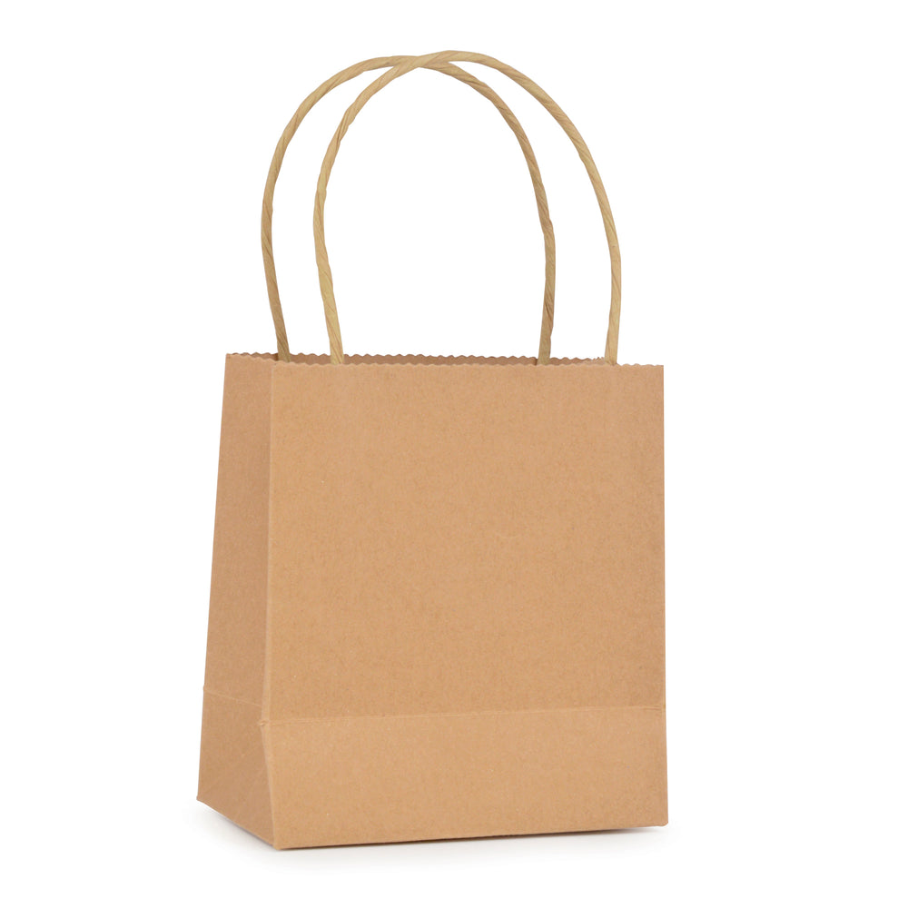 Branded Brunswick Small Brown Paper Bag with matching twisted paper handles