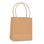 Branded Brunswick Small Brown Paper Bag with matching twisted paper handles