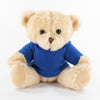 Coloured Hoodie Bear 25cm Alfie Bear