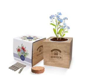 Essentials Desktop Cube Gardens