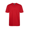 Orn Plover Premium T-Shirt