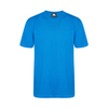 Orn Plover Premium T-Shirt