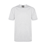 Orn Plover Premium T-Shirt