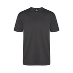 Orn Plover Premium T-Shirt