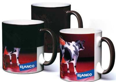 Heat Change Mug