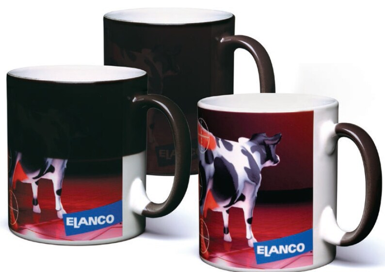 Branded Heat Change Mug