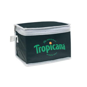 Nonwoven 6 can cooler bag