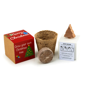 Christmas Tree Seed Bomb Kit Includes Kraft Box & Sleeve