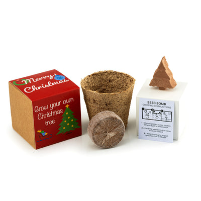Christmas Tree Seed Bomb Kit Includes Kraft Box & Sleeve