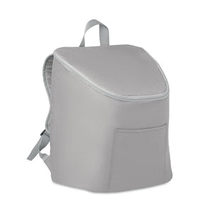 Cooler bag and backpack