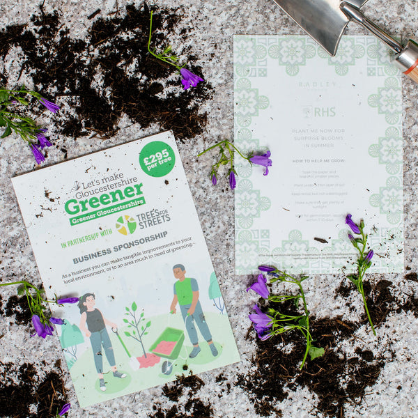 A5 Seed Paper