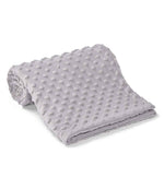 Brand Lab Minky Fleece Blanket