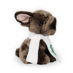 Ravensden French Bulldog with Scarf