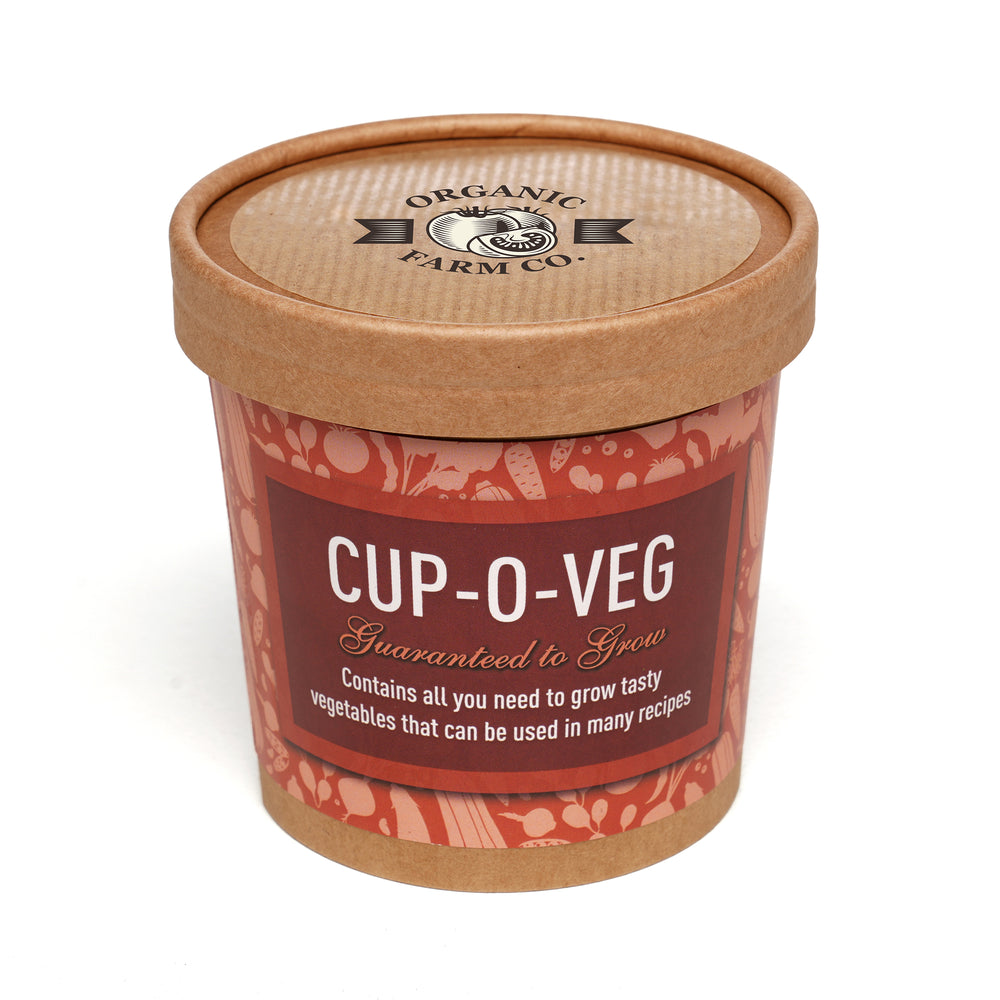 Seed Pot Cup'o Cardboard Pot