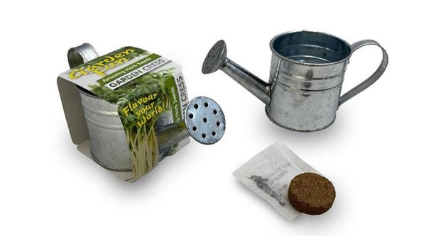 Zinc Watering Can