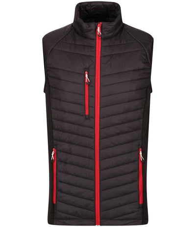Regatta Navigate Hybrid Bodywarmer Black/Classic Red