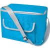 Ingber Cooler bag