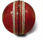 Branded Cricket Ball