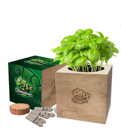Desktop Cube Gardens