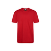 Orn Plover Premium T-Shirt