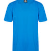 Orn Plover Premium T-Shirt