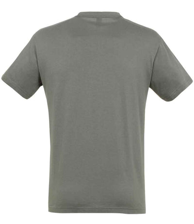SOL'S Regent T-Shirt Zinc