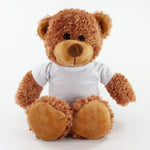 Coloured T-Shirt Bear III 30cm Barney Bear, Chestnut
