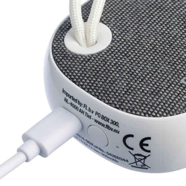 The Mireya - Recycled speaker