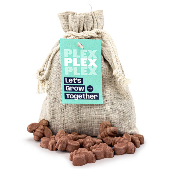 Bag of 10 Bee Shaped Seed Bombs